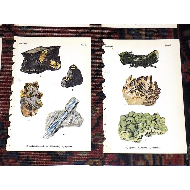1910s Authentic Antique 1916 Mineral Lithographs - Set of 12 For Sale - Image 5 of 8