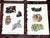 1910s Authentic Antique 1916 Mineral Lithographs - Set of 12 For Sale - Image 5 of 8