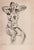 Black Matisse, Nude, Original Lithograph, 1920 For Sale - Image 8 of 11
