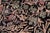Shabby Chic Shabby Chic Pak-Persian Black/Green Wool Round Rug - 8'1'' X 8'6'' For Sale - Image 3 of 9