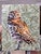 Impressionist “Woodland Owl” Acrylic Painting For Sale - Image 3 of 8