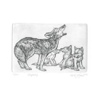 1989 Marsha Howe Coyotes Etching For Sale