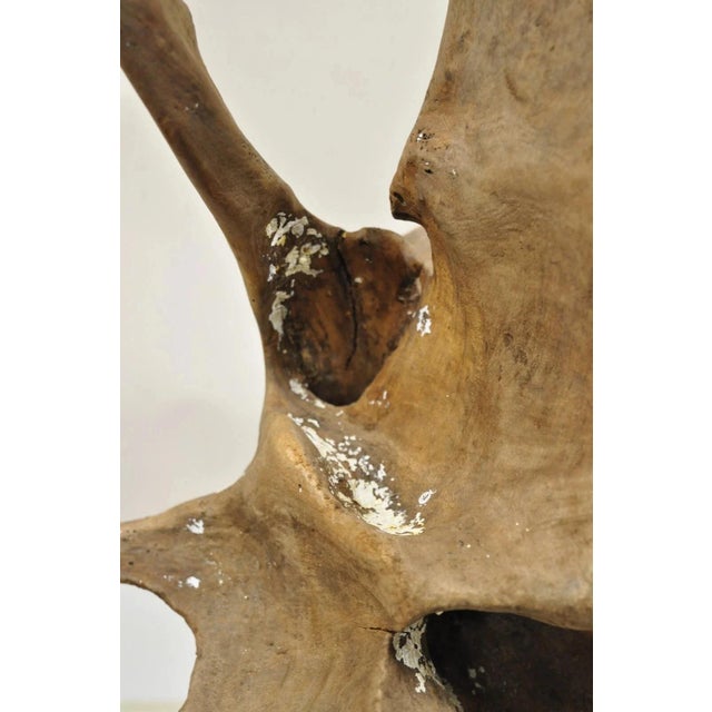 Wood Vintage Abstract Sculpted Wood Sculptural Free Form Table Sculpture Statue For Sale - Image 7 of 12