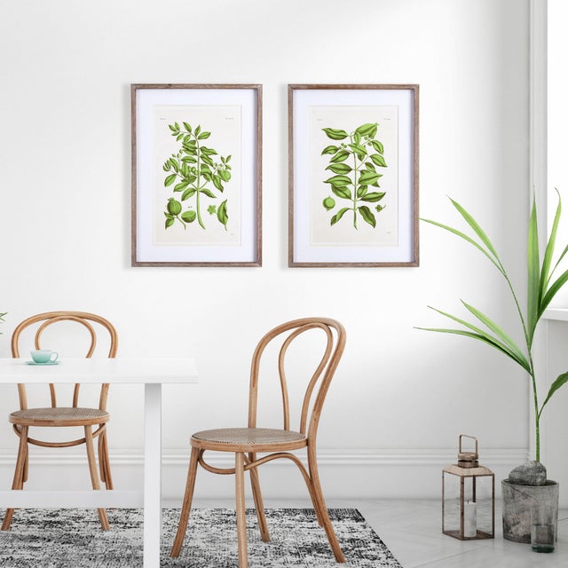 Early 21st Century Guava Prints, Set Of 2 For Sale - Image 5 of 6