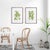 Early 21st Century Guava Prints, Set Of 2 For Sale - Image 5 of 6
