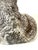 Russian Silver Persian Cat Sculpture, Soviet Period, 88 Zolotnik, Marked "S.W." For Sale - Image 11 of 12