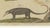 Paper Bertuch, Monkeys & South American Anteaters, 1800, Engraving For Sale - Image 7 of 10