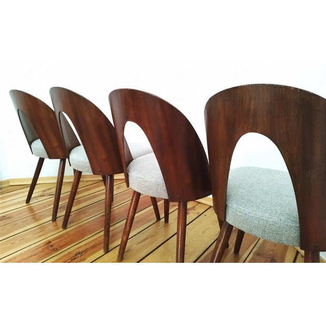Dining Chairs by A. Suman for Tatra Nabytok, Former Czechoslovakia, 1960s, Set of 4 For Sale - Image 10 of 18