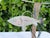 Silver Vintage 1994 Metal Fish Bowl Sculpture, Signed For Sale - Image 8 of 11