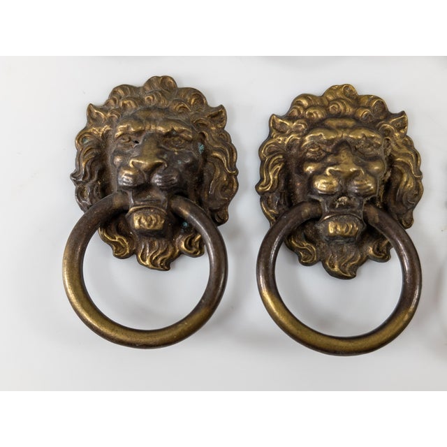Early 20th Century Early 20th Century Set of 8 Lion Head Form Drawer Handle Pulls For Sale - Image 5 of 13