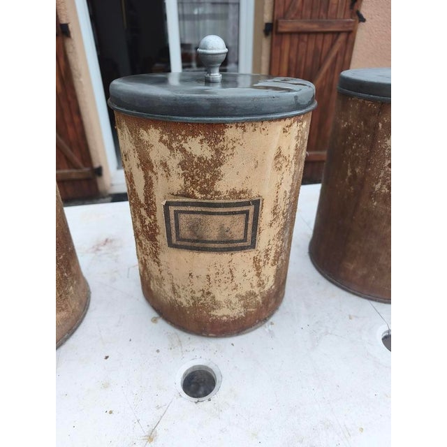 1980s 19th Century Wooden Pharmacy Jars, 1890, Set of 7 For Sale - Image 5 of 11