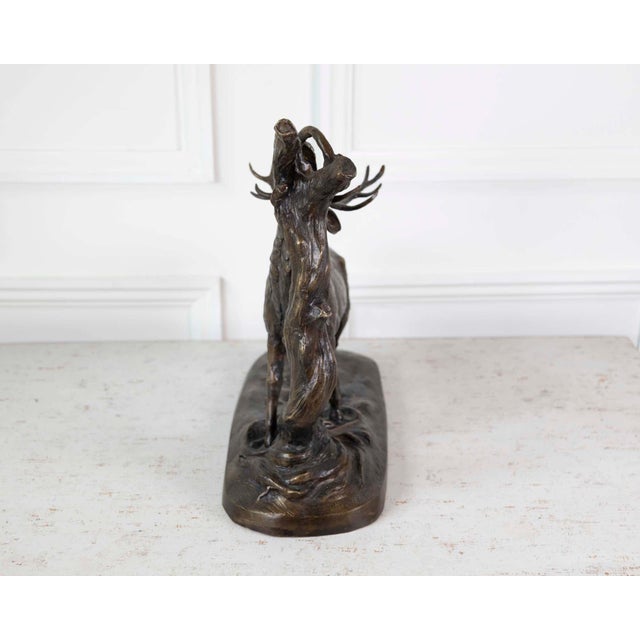 Large Bronze Animal Group – Rutting Stag – Late 19th Century. For Sale - Image 9 of 12