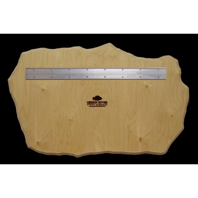 Fossil Fish Mural 4779gm For Sale In Salt Lake City - Image 6 of 6