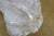 Lalique France Crystal Marie Claude Soliflore Frosted Etched Crystal Vase 14" For Sale - Image 13 of 14