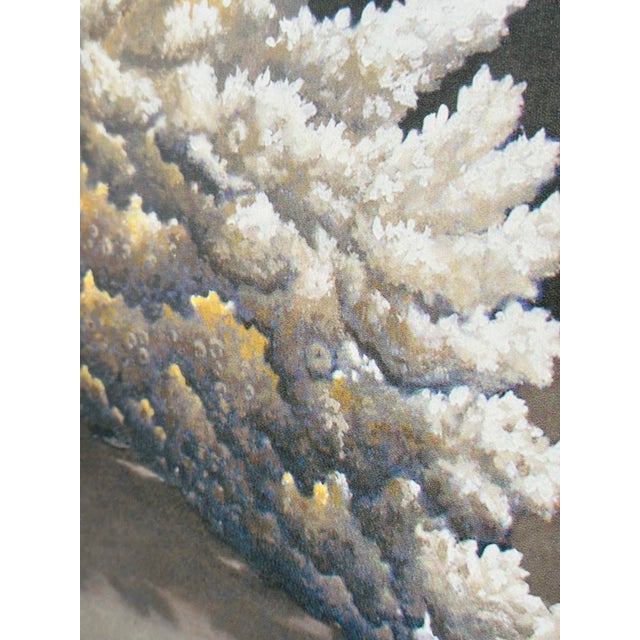 1990s Large Coastal Gee Clay, Framed For Sale - Image 5 of 10