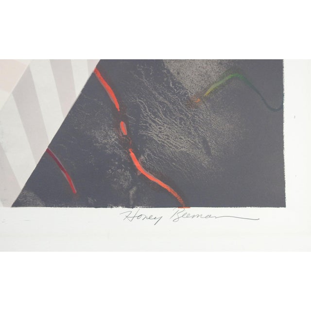 Abstract Late 20th Century Honey Beeman Op Art Abstract Lithograph For Sale - Image 3 of 5