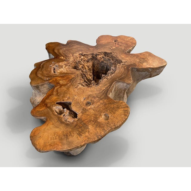 Andrianna Shamaris Impressive Organic Teak Wood Coffee Table For Sale - Image 9 of 18