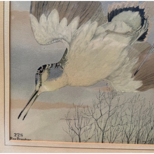 Rex Brasher Hand-Colored Print of the American Woodcock, Birds & Trees of North America, C. 1929–1932 For Sale - Image 4 of 10