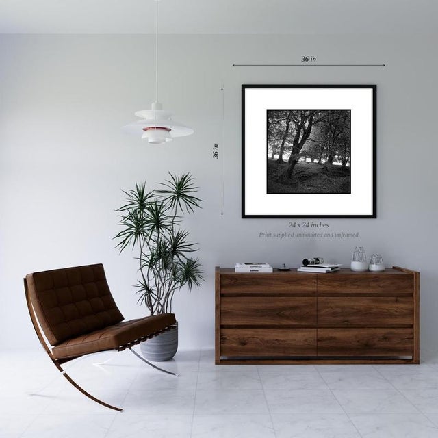 Contemporary Paul Cooklin, Woodland, Exmoor, Edition of 50 For Sale - Image 3 of 5