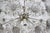 1970s Dandelion Chandelier from Preciosa, 1970s For Sale - Image 5 of 13