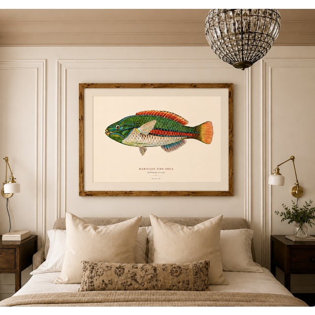 Not Yet Made - Made To Order Atelier Aria Lumae Albert Baldwin 1903 Hawaiian Fish Natural History Gallery Board Set For Sale - Image 5 of 12