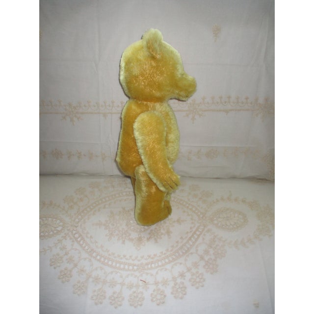 Children's Vintage German Herman Golden Mohair & Straw With Glass Eyes Teddy Bear For Sale - Image 3 of 10