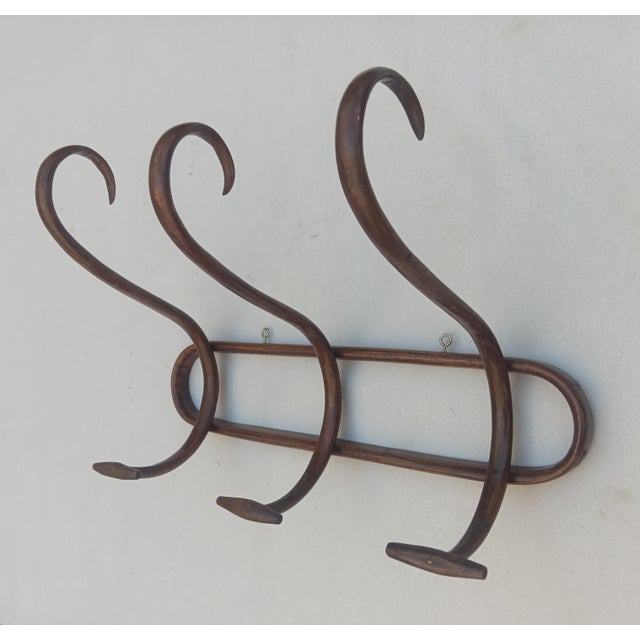 Vintage Bentwood Wall Coat Rack, 1950s, in Very Good conditions. Designed 1950 to 1959