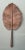 Copper Vintage Copper Botanical Wall Art For Sale - Image 8 of 12