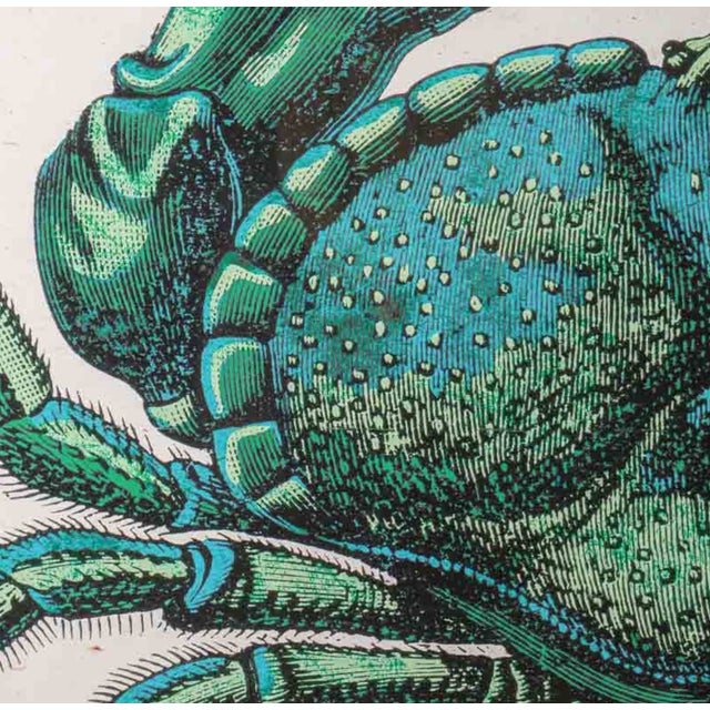 2020s Wall Art Set, Blue Crab - Set of 2 For Sale - Image 5 of 6