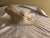 Vincent Glinsky - The Awakening - Stone Composite sculpture - nude sculpture - reclining woman - stone sculpture A stone...