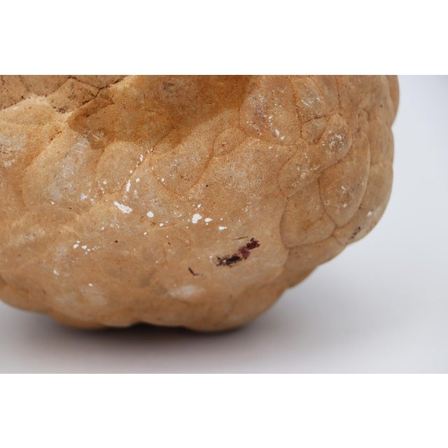 Cerebroid Silex, Middle Jurassic, Iberian Peninsula For Sale - Image 14 of 16