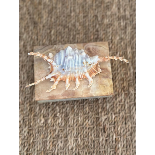 Onyx Stone Box With Shell For Sale In Charleston - Image 6 of 6