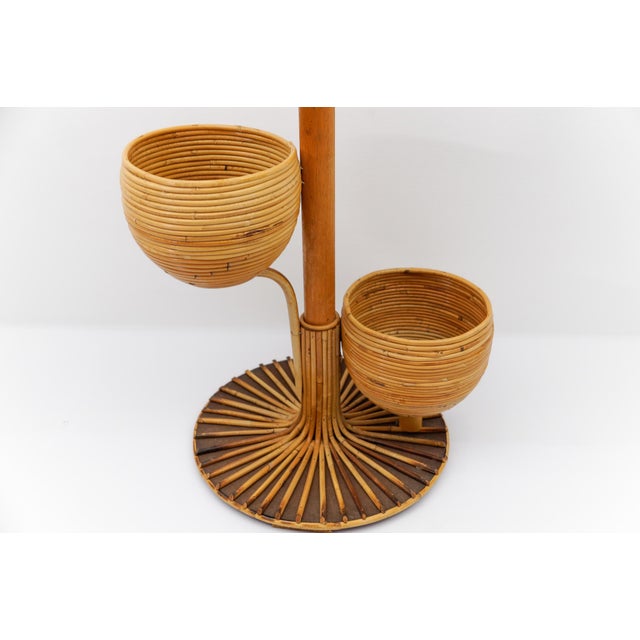 Italian Bamboo and Rattan Plant Holder, 1950s For Sale - Image 6 of 10