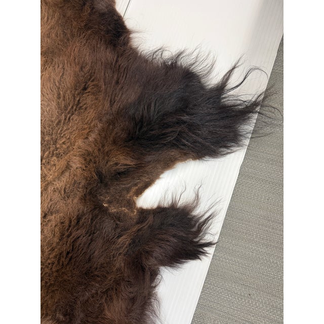 6ft 8in × 8ft Buffalo Pelt, Winter Woolly For Sale In San Francisco - Image 6 of 12