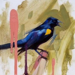 YS Blackbird by Ryan Morse | Oil on panel Painting of a blackbird with a yellow patch. For Sale
