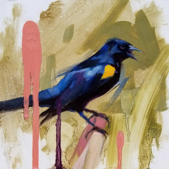 YS Blackbird by Ryan Morse | Oil on panel Painting of a blackbird with a yellow patch. For Sale