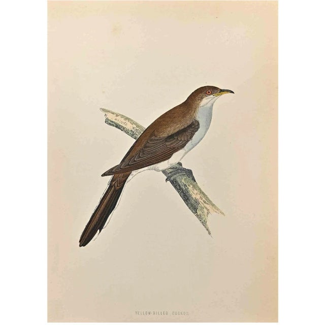 Yellow-Billed Cuckoo is a modern artwork realized in 1870 by the British artist Alexander Francis Lydon (1836-1917)....