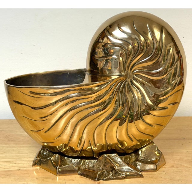 Large Polished Brass Nautilus Shell Vase by Sarreid, Spain, Circa 1970s For Sale - Image 4 of 14