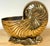 Large Polished Brass Nautilus Shell Vase by Sarreid, Spain, Circa 1970s For Sale - Image 4 of 14