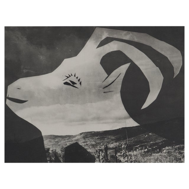 Pablo Picasso, Diurnal, The Goat on the Wrapping Horizon, Original Phototype For Sale