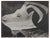 Pablo Picasso, Diurnal, The Goat on the Wrapping Horizon, Original Phototype For Sale
