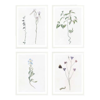 Celerie Kemble Curated Australian Botanical Set of 4 (36x48) in White Frame For Sale