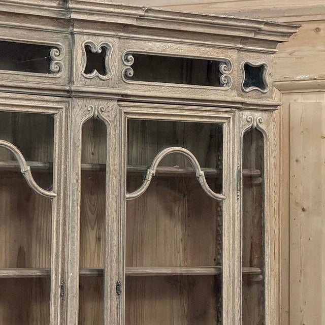 Late 19th Century 19th Century Liegoise Neoclassical Bookcase ~ Display Cabinet in Stripped Oak For Sale - Image 5 of 18