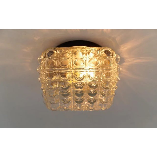 1 of 3 clear bubble glass flush mount lamp by helena tynell, germany 1960s dimensions height: 4.52 in. (11.5 cm) width:...