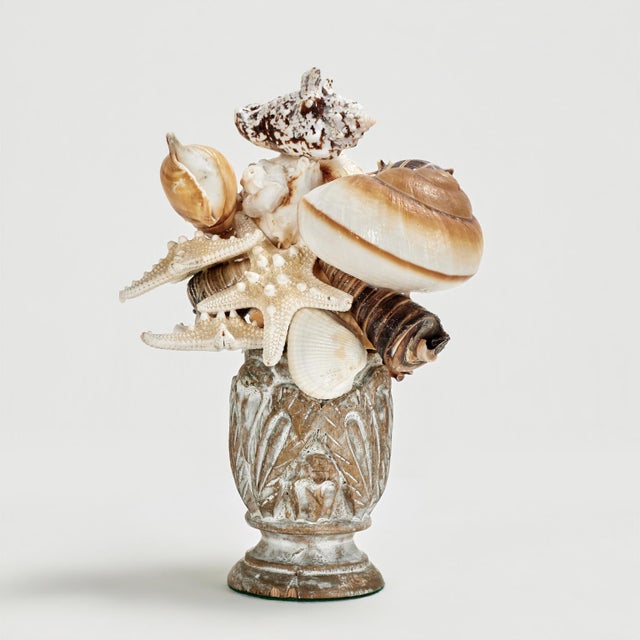 Pair of Seashell Sculptures on Wood Bases For Sale - Image 10 of 13