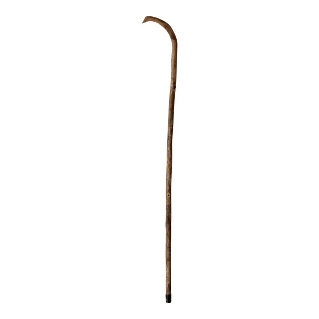 Antique Walking Stick For Sale - Image 11 of 11