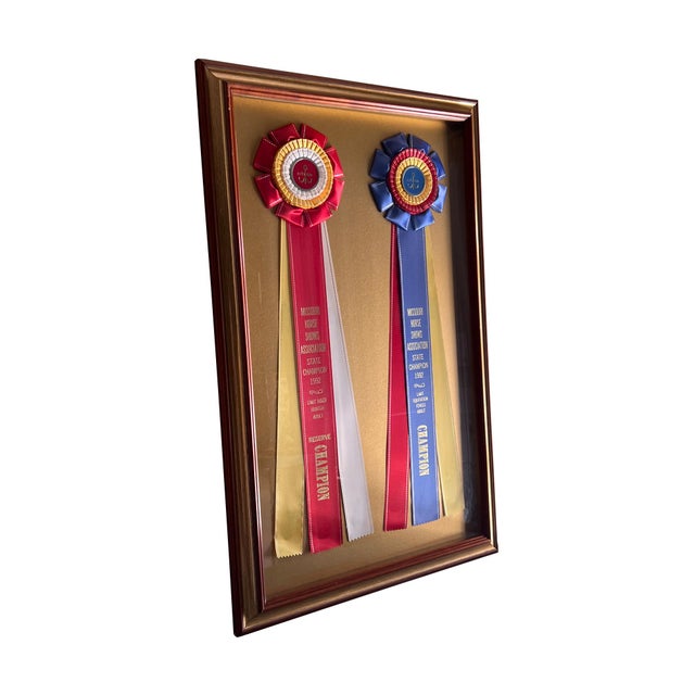 Framed Missouri Horse Show Champion Rosettes, Equestrian Wall Art, 1992 For Sale - Image 14 of 17