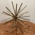 Just like the darling of the sea r urchin sculpture blooms with a distinctive graphic expression, perfect for your...