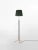 Green and brass Pie de Salón G3 floor lamp by Jaume Sans Dimensions: d 40 x h 120-160 cm Materials: Metal, leather,...
