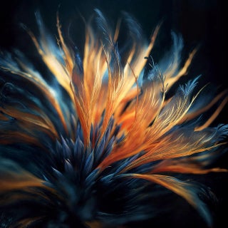 "A Botanical 31" Contemporary Original Still Life Photograph by Michael Filonow For Sale